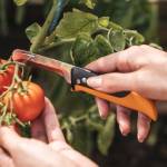 Nóż składany Fiskars 1062819