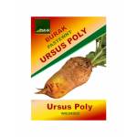 Burak pastewny Ursus Poly żółty 0.5kg