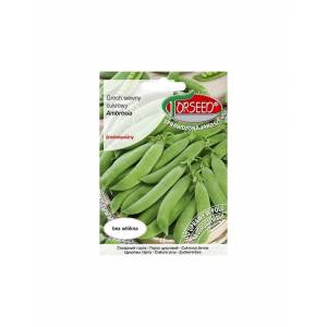 Torseed